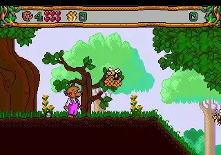 Berenstain Bears' Camping Adventure, The (USA)