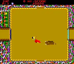 Bullfight (315-5065)