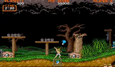 Dai Makai-Mura (Japan Resale Ver.)