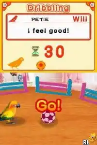 Discovery Kids - Parrot Pals (USA) (En,Fr,Es)