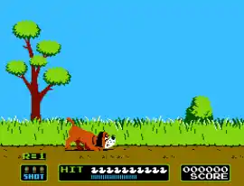 Duck Hunt (World)
