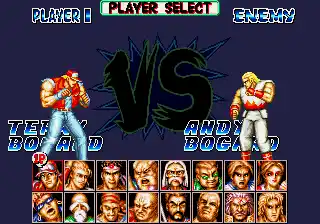 Fatal Fury Special