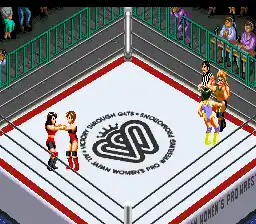 Fire Pro Joshi All Star Dream Slam (Japan)