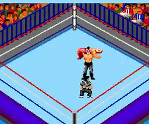 Fire Pro Wrestling - Combination Tag (Japan)
