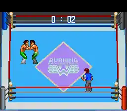 Gekitou Burning Pro Wrestling (Japan)