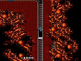 Guerrilla War (Europe)