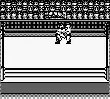 HAL Wrestling (USA)