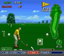 Irem Skins Game, The (USA)