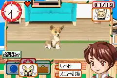 Kawaii Pet Game Gallery (J)(Rising Sun)