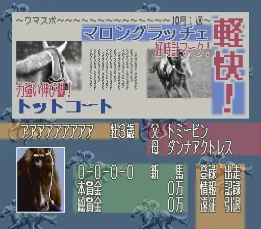 Leading Jockey (Japan)