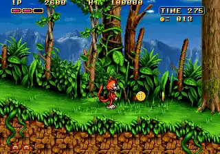 Magical Cat Adventure