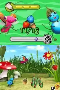 Miss Spider's Sunny Patch Friends - Harvest Time Hop and Fly (USA) (En,Fr,Es)