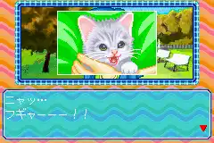 Nakayoshi Pet Advance Series 3 Kawaii Koneko (J)(Chakky)