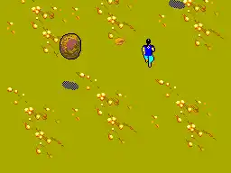 Ninja, The (USA, Europe)