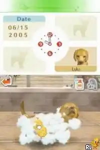 Nintendogs - Chihuahua & Friends (Europe) (En,Fr,De,Es,It)