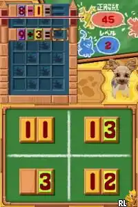 Nounai Aesthe IQ Suppli DS 2 - Sukkiri King Ketteisen (Japan)