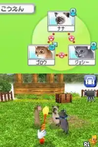 Petz - Catz - Koneko to Issho ni Tanoshiku Asobou (Japan)
