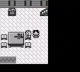 Plaguemon Lost Diaries