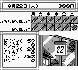 Pocket Love (Japan)