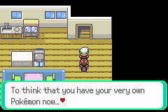 Pokemon Elite Redux v2.2.1