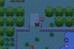 Pokemon Exceeded v9.0