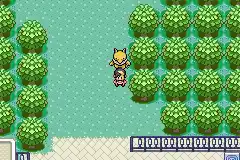 Pokemon Quetzal Alpha 0.6.4