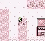 Pokemon Red Gender Selection