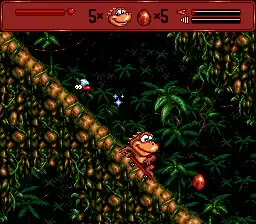 Radical Rex (Europe)