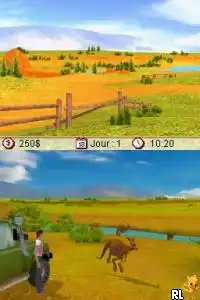 Real Stories - Veterinaire - Mission Australie (France)