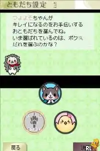 Saeki Chizu Shiki Yumemihada - Dream Skincare (Japan)