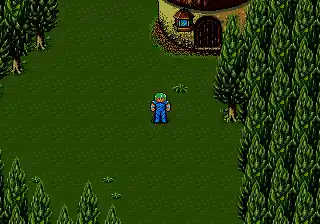 Sorcer Kingdom (Japan)