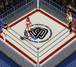 Super Fire Pro Wrestling - Queen's Special (Japan)