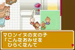 Sylvania Family - Fashion Designer Ninaritai! (J)(Caravan)