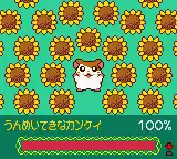 Sylvanian Families 3 - Hoshi Furu Yoru no Sunadokei (Japan)