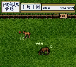 Thoroughbred Breeder (Japan)