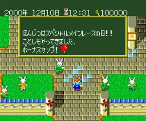 Wallaby!! - Usagi no Kuni no Kangaroo Race (Japan)