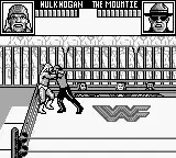 WWF Superstars 2 (Japan)